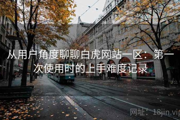 从用户角度聊聊白虎网站一区：第一次使用时的上手难度记录