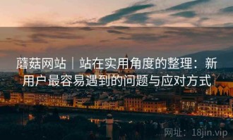 蘑菇网站｜站在实用角度的整理：新用户最容易遇到的问题与应对方式