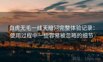 白虎无毛一线天暗网完整体验记录：使用过程中一些容易被忽略的细节