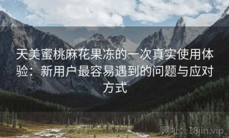 天美蜜桃麻花果冻的一次真实使用体验：新用户最容易遇到的问题与应对方式