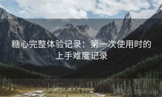 糖心完整体验记录：第一次使用时的上手难度记录
