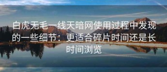 白虎无毛一线天暗网使用过程中发现的一些细节：更适合碎片时间还是长时间浏览