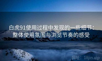 白虎91使用过程中发现的一些细节：整体使用氛围与浏览节奏的感受