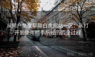 从用户角度聊聊白虎网站一区：从打开到使用顺手所经历的全过程