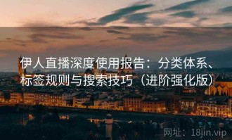 伊人直播深度使用报告：分类体系、标签规则与搜索技巧（进阶强化版）