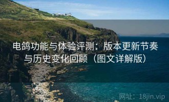 电鸽功能与体验评测：版本更新节奏与历史变化回顾（图文详解版）