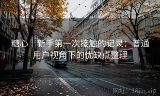 糖心｜新手第一次接触的记录：普通用户视角下的优缺点整理