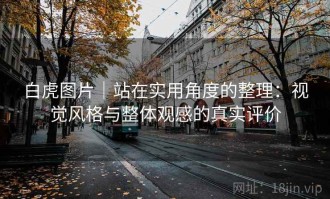 白虎图片｜站在实用角度的整理：视觉风格与整体观感的真实评价