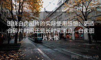 围绕白虎图片的实际使用感想：更适合碎片时间还是长时间浏览，白虎图片头像