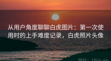 从用户角度聊聊白虎图片：第一次使用时的上手难度记录，白虎照片头像