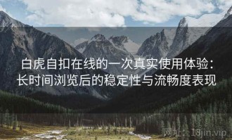 白虎自扣在线的一次真实使用体验：长时间浏览后的稳定性与流畅度表现