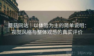 蘑菇网站｜以体验为主的简单说明：视觉风格与整体观感的真实评价