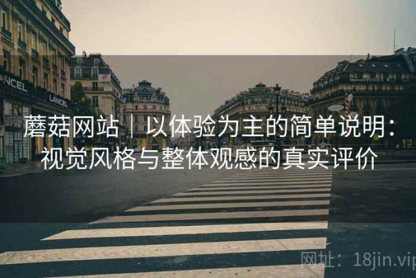 蘑菇网站｜以体验为主的简单说明：视觉风格与整体观感的真实评价
