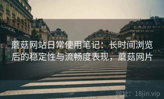 蘑菇网站日常使用笔记：长时间浏览后的稳定性与流畅度表现，蘑菇网片