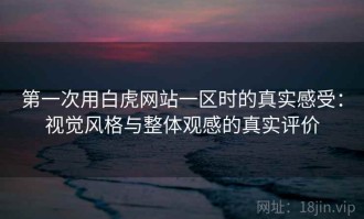 第一次用白虎网站一区时的真实感受：视觉风格与整体观感的真实评价