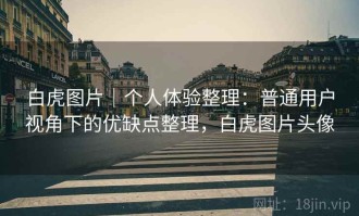 白虎图片｜个人体验整理：普通用户视角下的优缺点整理，白虎图片头像