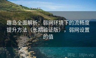 趣岛全面解析：弱网环境下的流畅度提升方法（长期验证版），弱网设置的值