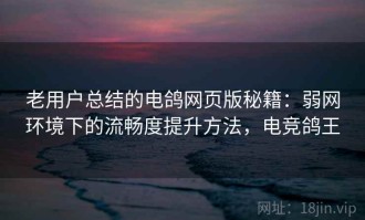 老用户总结的电鸽网页版秘籍：弱网环境下的流畅度提升方法，电竞鸽王