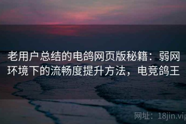 老用户总结的电鸽网页版秘籍：弱网环境下的流畅度提升方法，电竞鸽王