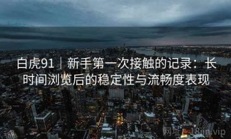 白虎91｜新手第一次接触的记录：长时间浏览后的稳定性与流畅度表现
