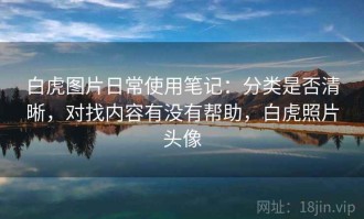 白虎图片日常使用笔记：分类是否清晰，对找内容有没有帮助，白虎照片头像