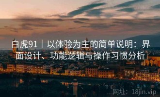 白虎91｜以体验为主的简单说明：界面设计、功能逻辑与操作习惯分析