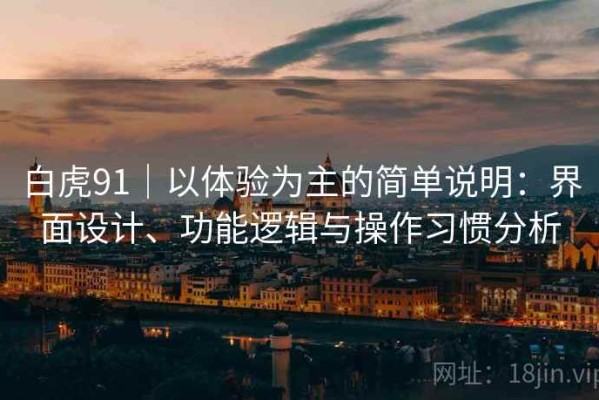 白虎91｜以体验为主的简单说明：界面设计、功能逻辑与操作习惯分析