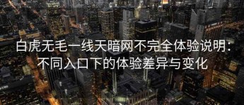 白虎无毛一线天暗网不完全体验说明：不同入口下的体验差异与变化