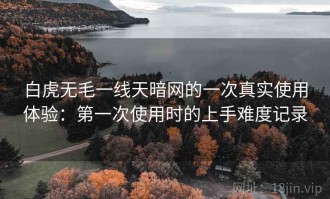 白虎无毛一线天暗网的一次真实使用体验：第一次使用时的上手难度记录