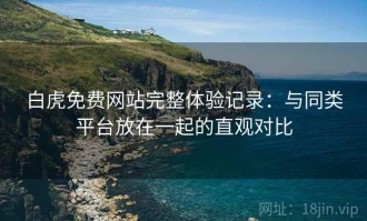 白虎免费网站完整体验记录：与同类平台放在一起的直观对比