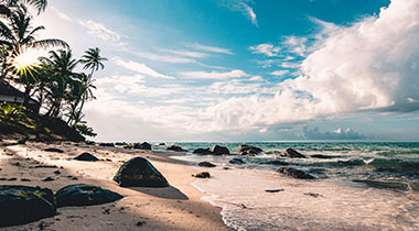 白虎嫩白｜新手第一次接触的记录：值不值得收藏长期使用的判断依据