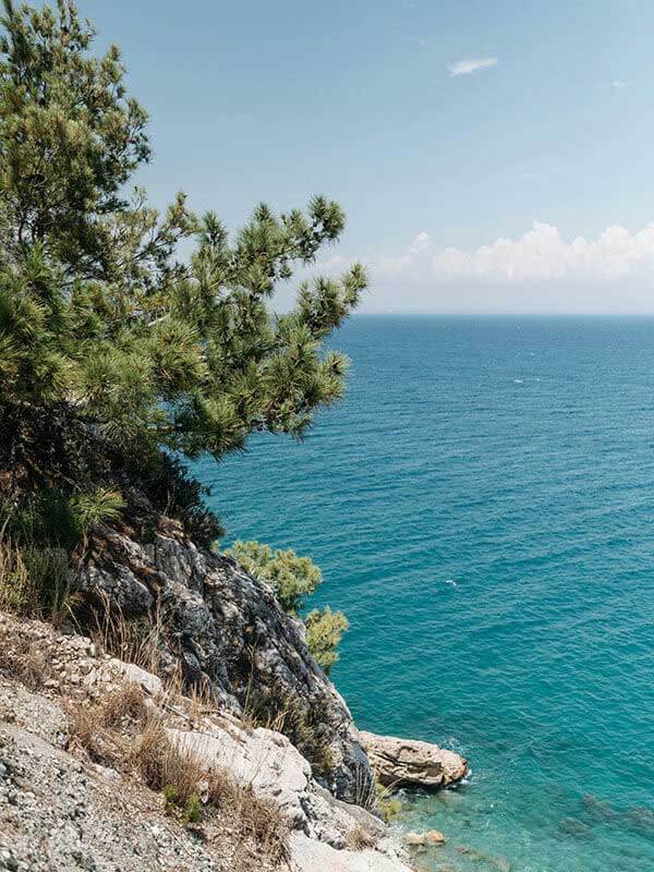 天美糖心｜不带滤镜的体验总结：视觉风格与整体观感的真实评价