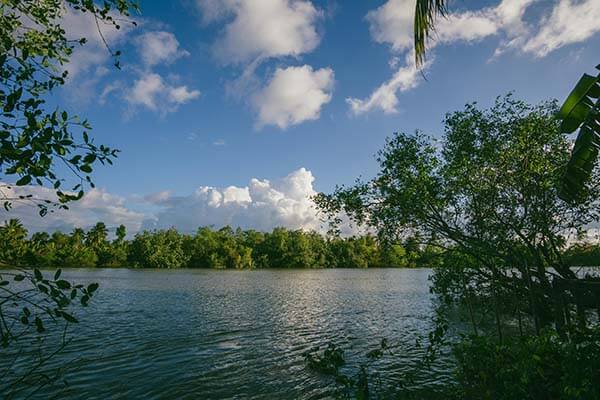 第一次用红桃影视时的真实感受：从打开到使用顺手所经历的全过程
