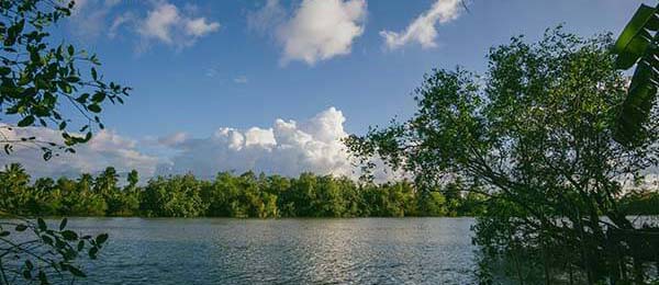 天美传媒全面解析：多端同步、备份与迁移操作指南