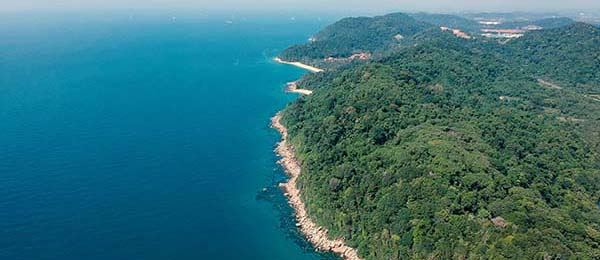 蘑菇影视官网进阶指南：夜间模式与护眼设置的最佳实践（图文详解版）