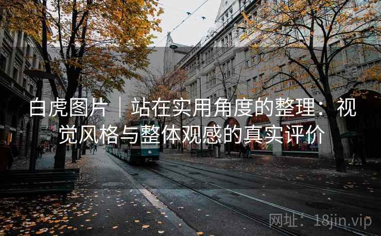 白虎图片｜站在实用角度的整理：视觉风格与整体观感的真实评价