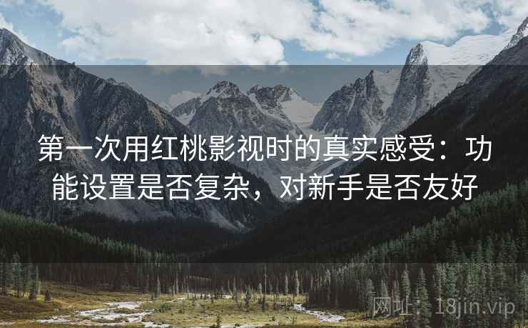 第一次用红桃影视时的真实感受：功能设置是否复杂，对新手是否友好