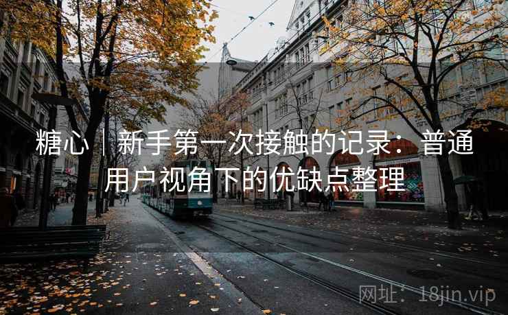 糖心｜新手第一次接触的记录：普通用户视角下的优缺点整理