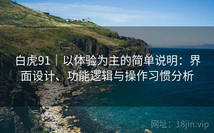 白虎91｜以体验为主的简单说明：界面设计、功能逻辑与操作习惯分析