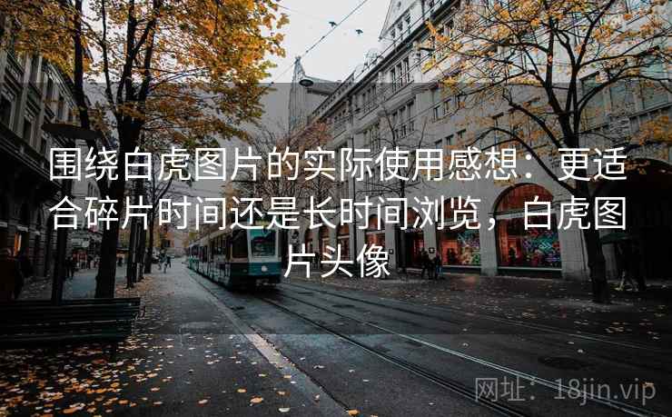 围绕白虎图片的实际使用感想:更适合碎片时间还是长时间浏览,白虎图片头像 围绕白虎图片的实际使用感想:更适合碎片时间还是长时间浏览,白虎图片头像