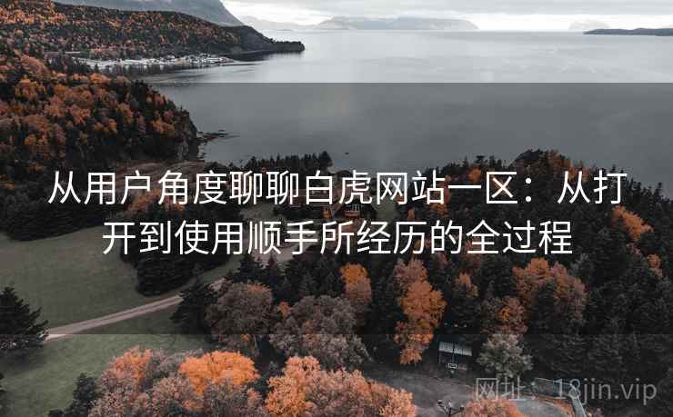 从用户角度聊聊白虎网站一区:从打开到使用顺手所经历的全过程 从用户角度聊聊白虎网站一区:从打开到使用顺手所经历的全过程