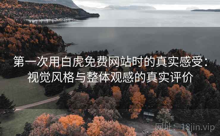 第一次用白虎免费网站时的真实感受:视觉风格与整体观感的真实评价 第一次用白虎免费网站时的真实感受:视觉风格与整体观感的真实评价