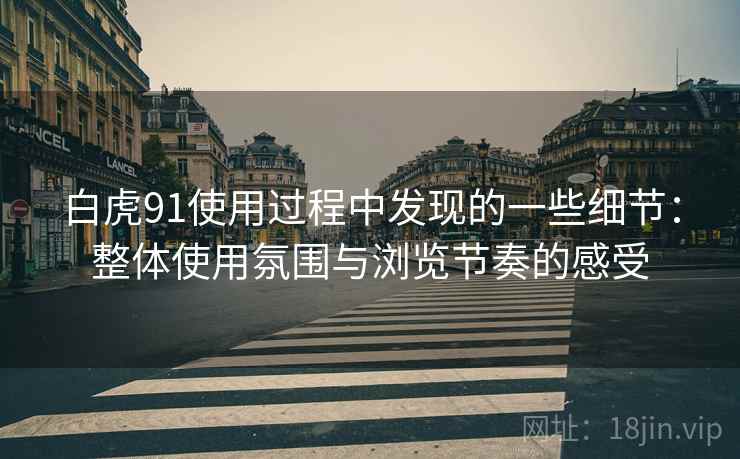 白虎91使用过程中发现的一些细节:整体使用氛围与浏览节奏的感受 白虎91使用过程中发现的一些细节:整体使用氛围与浏览节奏的感受