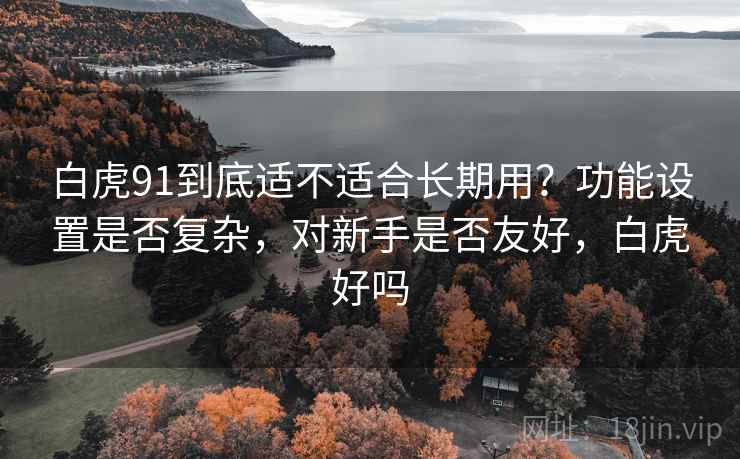 白虎91到底适不适合长期用?功能设置是否复杂,对新手是否友好,白虎好吗 白虎91到底适不适合长期用?功能设置是否复杂,对新手是否友好,白虎好吗
