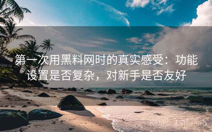 第一次用黑料网时的真实感受：功能设置是否复杂，对新手是否友好