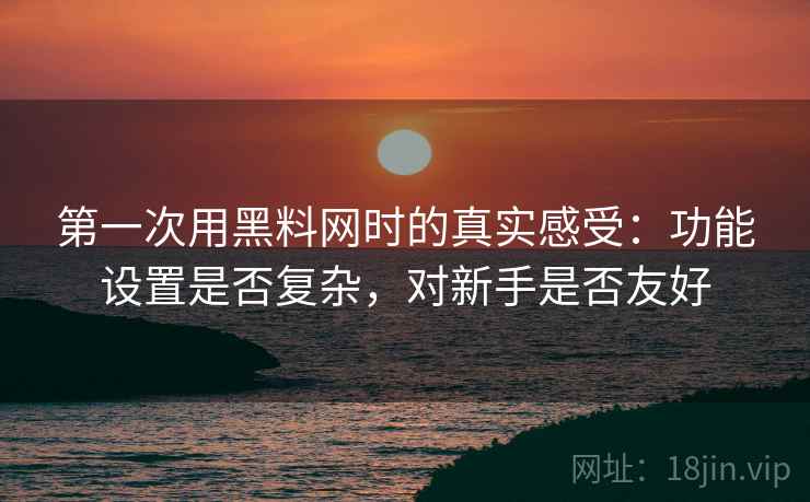 第一次用黑料网时的真实感受：功能设置是否复杂，对新手是否友好