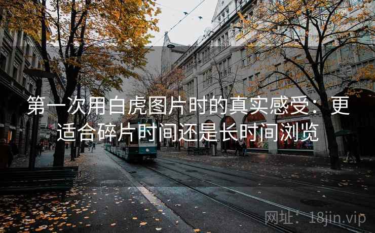 第一次用白虎图片时的真实感受：更适合碎片时间还是长时间浏览