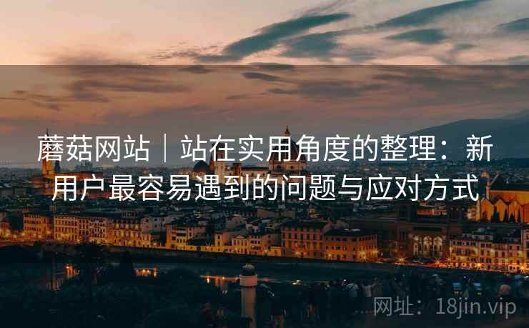 蘑菇网站｜站在实用角度的整理：新用户最容易遇到的问题与应对方式