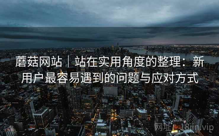 蘑菇网站｜站在实用角度的整理：新用户最容易遇到的问题与应对方式