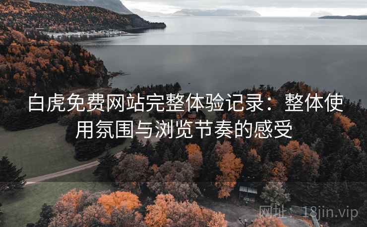 白虎免费网站完整体验记录：整体使用氛围与浏览节奏的感受